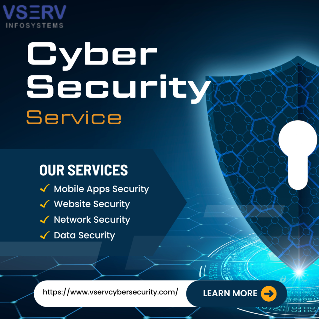 Vserv Cyber Security